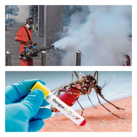 Lebih 850 Kematian Akibat Denggi