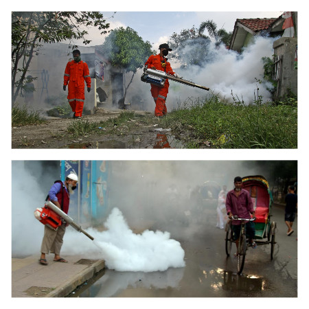 300 Ribu Dijangkiti Denggi