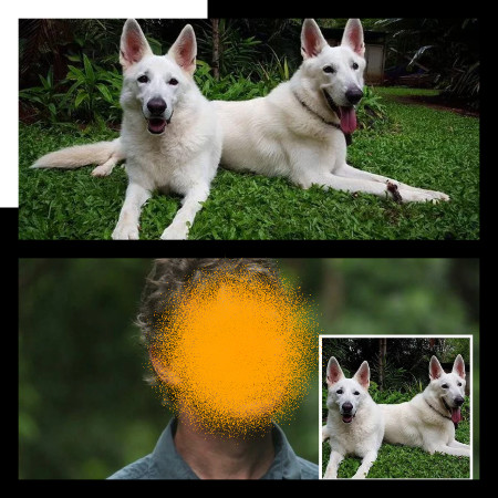 Rogol Dan Bunuh Anjing Bakal Dipenjara Seumur Hidup Rogol Dan Bunuh Anjing Bakal Dipenjara Seumur Hidup